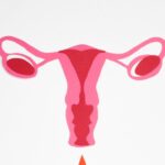 Ce se intampla cu ovarele in sarcina si de ce apare durerea de ovare?