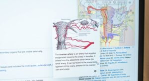 Hemoragia uterina excesiva la nastere si dupa nastere