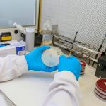 CAPA-IVM, o metoda utila in reducerea dependentei de injectii hormonale in timpul tratamentelor de fertilizare in vitro